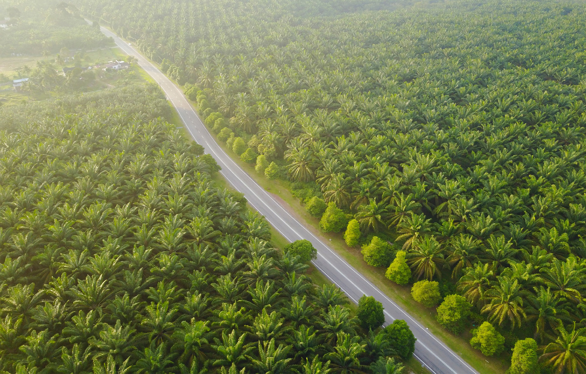 Aerial view of Malaysian palm oil mill complex