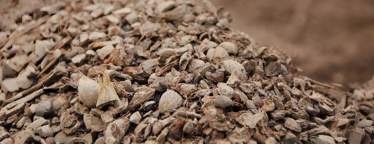 Palm kernel shells — agricultural byproduct from palm oil processing